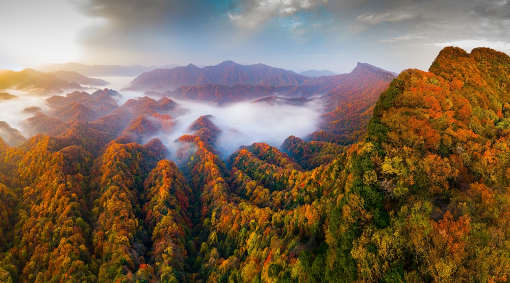 米倉山森林康養基地—大壩風景區